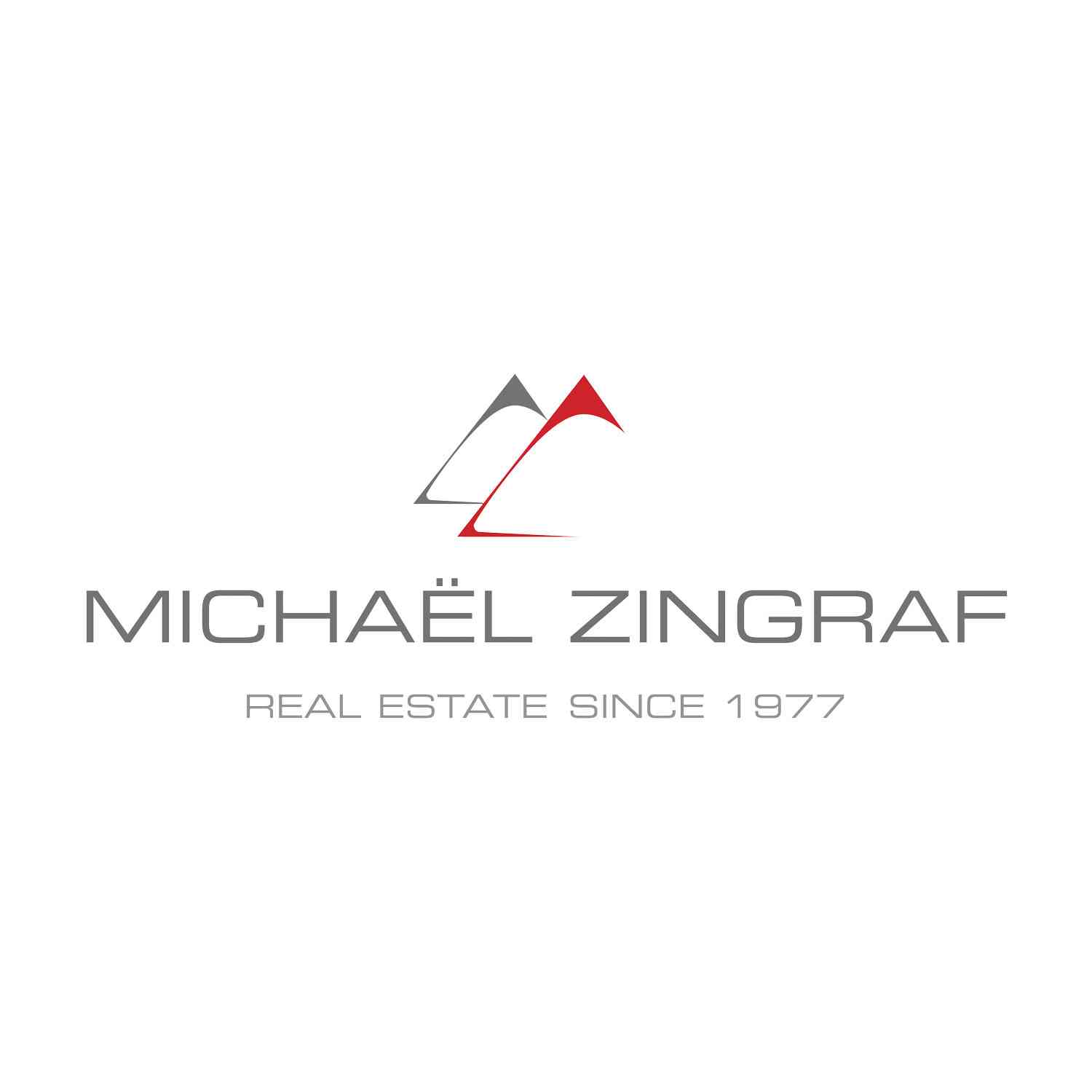 agence michaël zingraf real estate